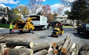 Leaf Removal in High Ridge, MO